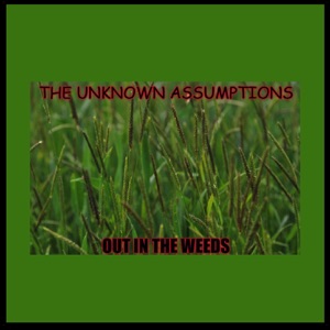 The Unknown Assumptions Artwork